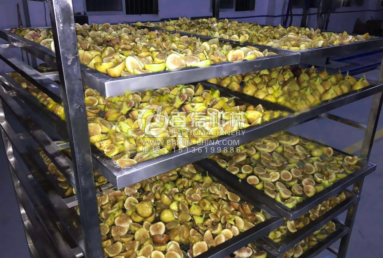 無(wú)花果烘干機(jī)